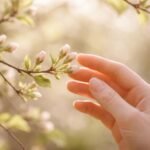 Rügyező fa ágait gyengéden simogató kézClose-up természetben